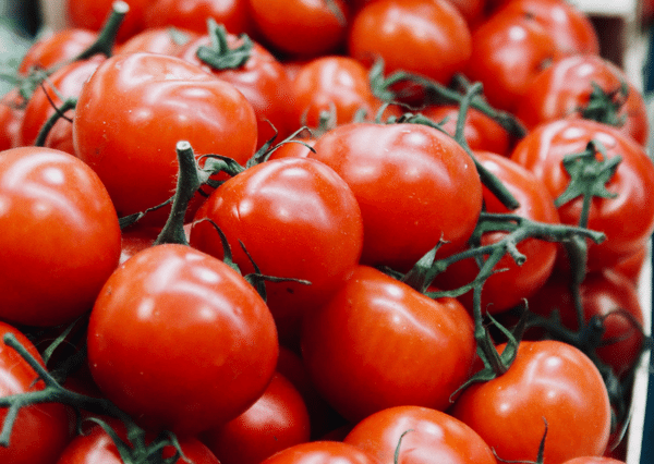 Closeup of Tomatoes